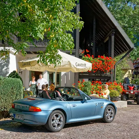 Hirschen Glottertal