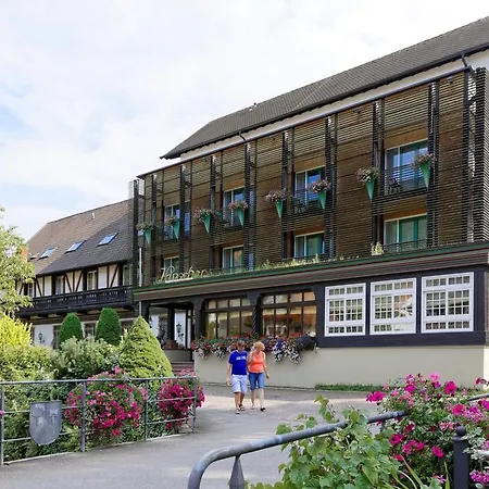 Hirschen Hotel 4*