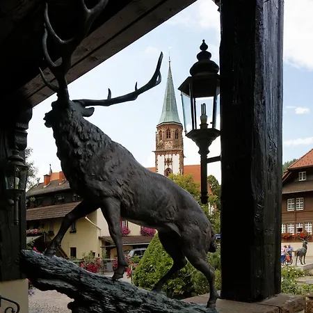 Hotel Hirschen 4*