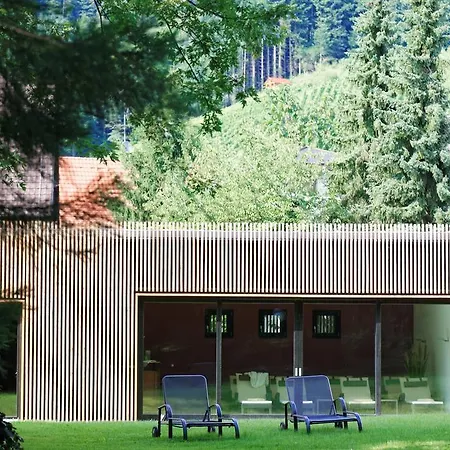 Hirschen Hotel Glottertal