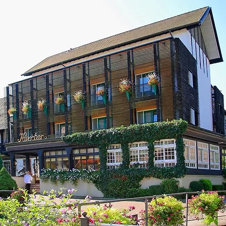 Hirschen Hotel 4*